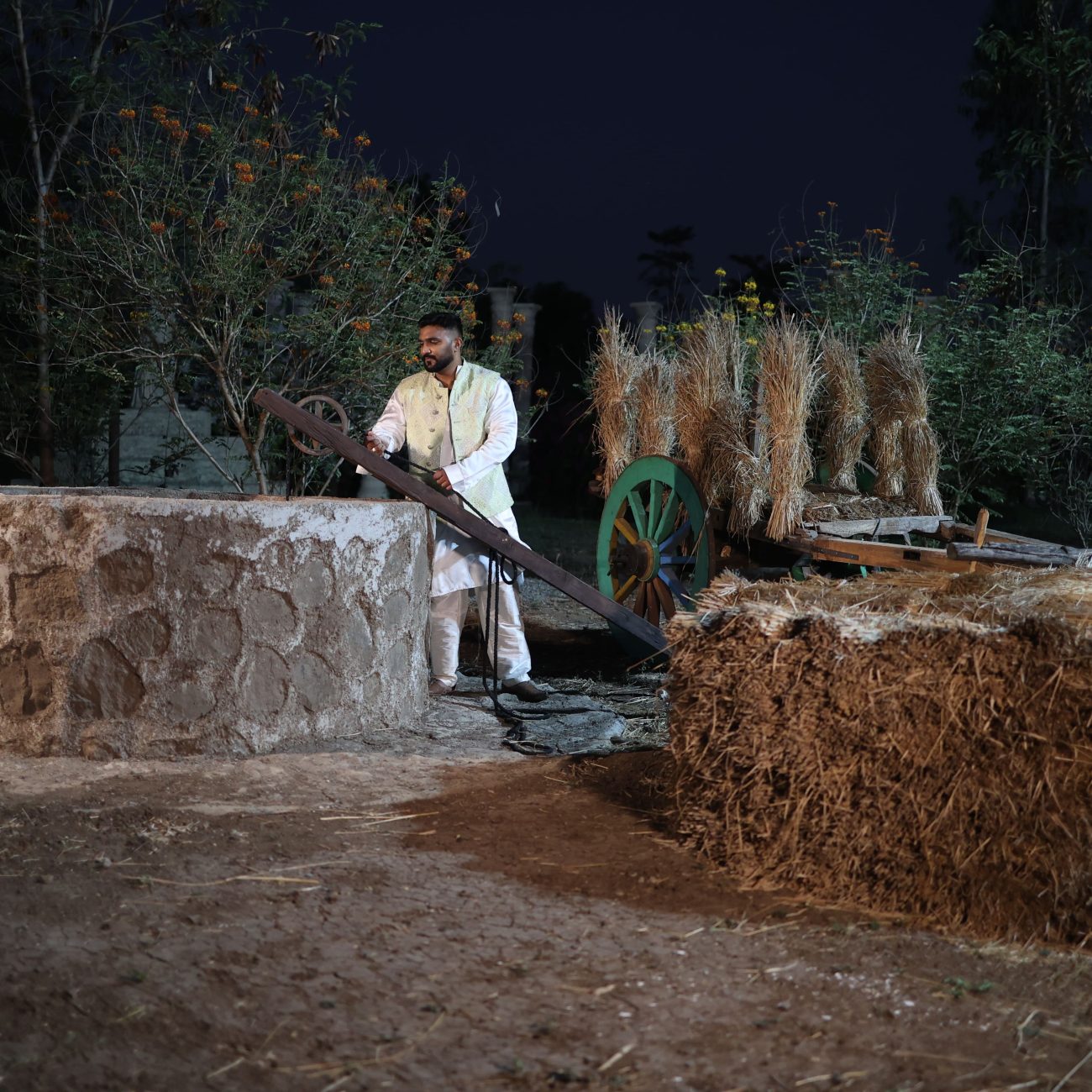the punjab set